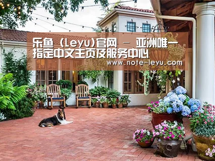客户案例标题九
